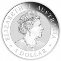Koala1