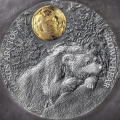 Coin1