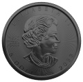Coin2