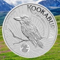 Kookaburra3