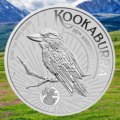 Kookaburra3