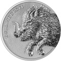 Coin1