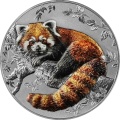 Representatives of the Species - Red Panda HR