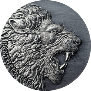 2020 Cameroon 2000 Francs Panthera Leo Expressions of Wildlife