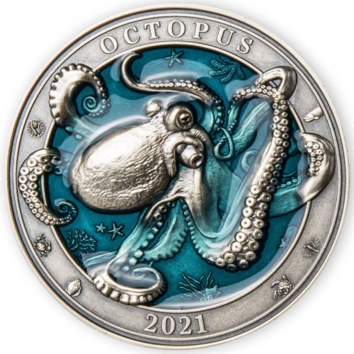 octopus1