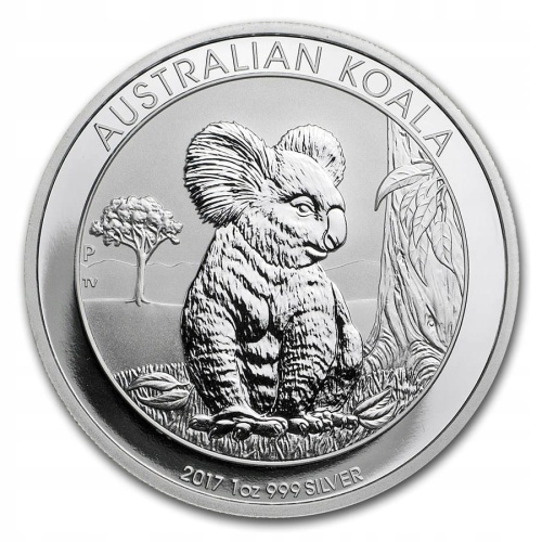 Koala